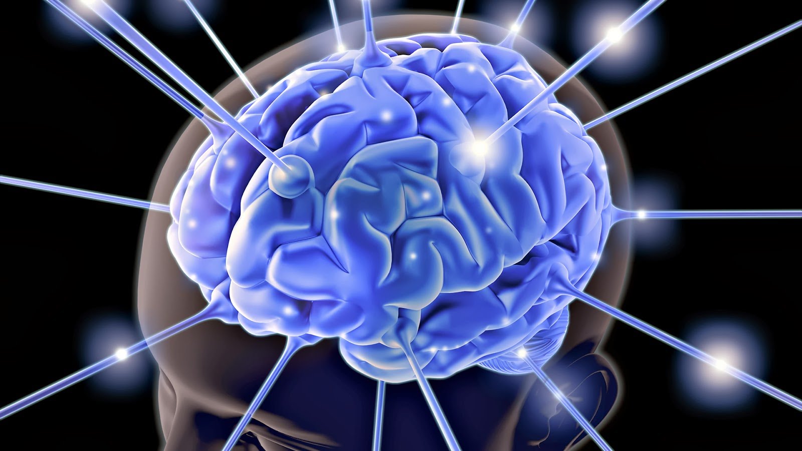 células cerebrais